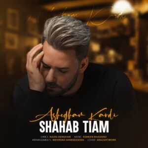 دانلود آهنگ شهاب تیام به نام عاشقم کردی